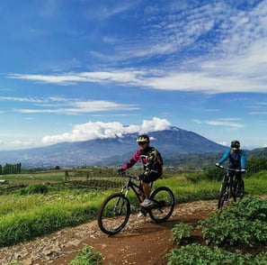 Cycling tour
