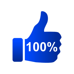 pictogramme pousse de satisfaction client