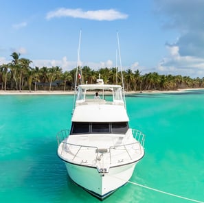 a boat in the water with palm trees in the background
