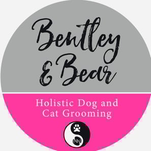 Bentley & Bear Groomers