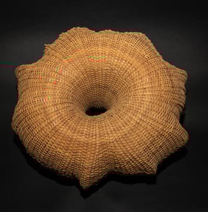 Number 18, 2011 cane, reed