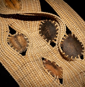 Earthly Joys, 2023, cane, reed, lluvia de oro and jacaranda pods