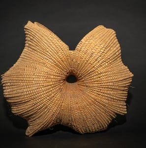 Number 30.2, 2012, cane, reed