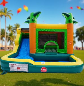 RENTALS OF INFLATABLE CASTLE IN GREENVILLE