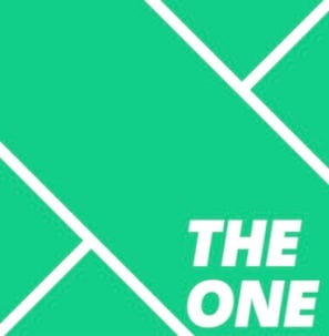 The One Pickleball Academy