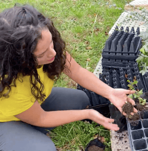EcoRumbo: soluciones sustentables y educación ambiental en Chiloé