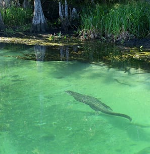 Wakulla County