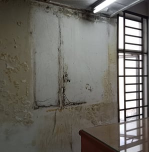 water seepage,mold and paint peeling wall