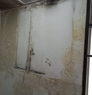 damp ,moldy wall 