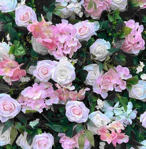 cvetlično stena za najem