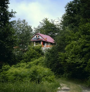 Corttage im Wald