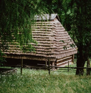 Hütte im Wald