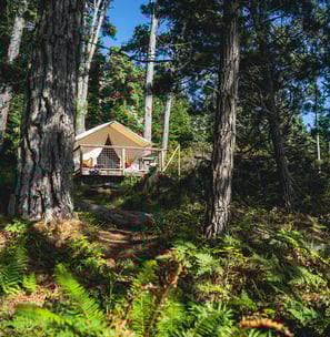 Glampingzelt im Wald