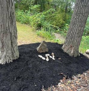 Landscaping-Services