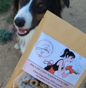 Illustration pour sachets de biscuits artisanaux pour chiens