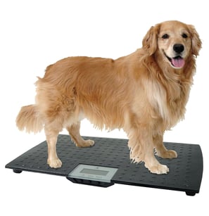De Redmon numérique de précision Balance pour Animal Domestique, Grande