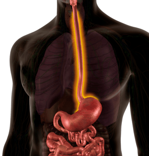 Esophagus cancer treatment in Ahmedabad
