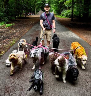 Dog Walking, Dog sitting, Dog Coaching Bruxelles