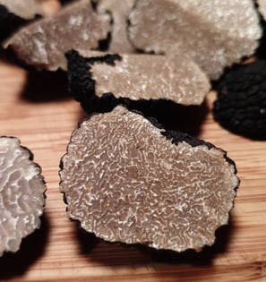 une truffe d'automne (tuber uncinatum)