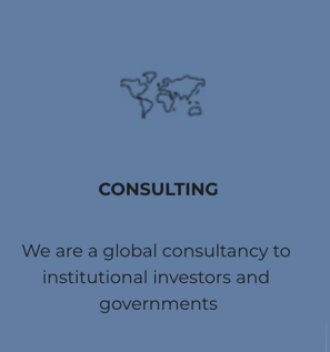 We are a global consultancy to institutional investors and governments