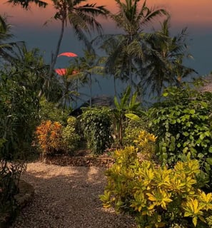 octopus_eco_garden_lodge_zanzibar_garden2