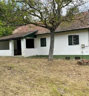 Ferienhaus in Ungarn kaufen