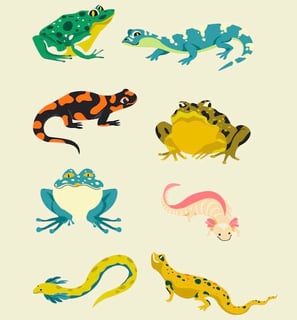 PESTICIDES BIODIVERSITÉ EXTINCTION MASSE AMPHIBIENS 