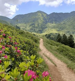 rando - chemins - hautes pyrenees