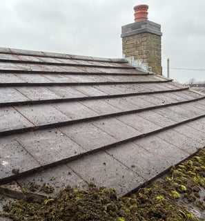 moss being cleaned from a roof in worcester by keystone property care