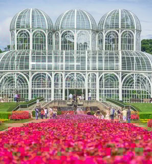 Imagem de um parque em Curitiba