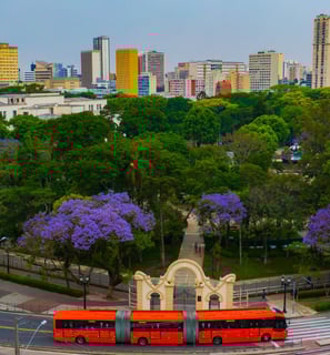 Imagem de um parque em Curitiba
