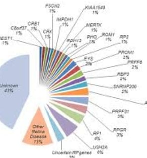 Each patient may carry a variant in one or more of approximately 100 genes