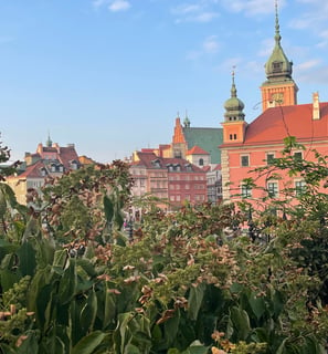 Zwiedzaj Zamek Królewski w Warszawie z Naturą Miasta