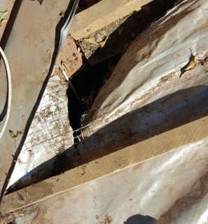 Extensive roof damage inspection, West Rand, Environmental Pro Construction