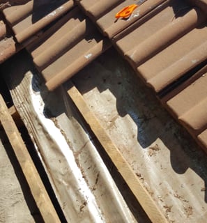 Roof inspection, West Rand