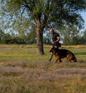 Entspannt durch den Park mit Hund