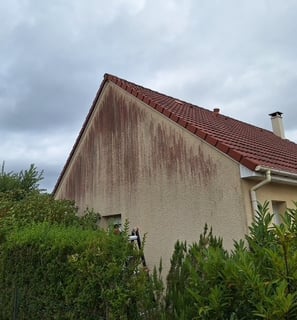 traitement pignon