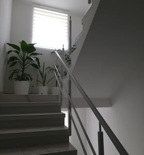 a staircase with a plant in the middle of it