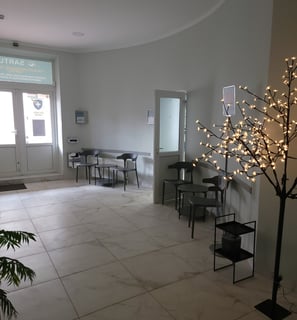 a room with a tree and a plant in the middle