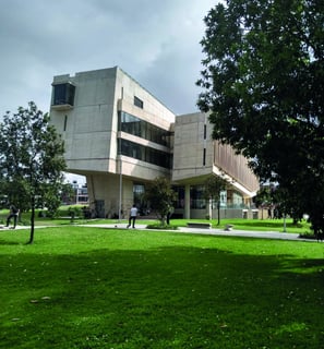 Facultad de enfermeria UNAL 2 - mano de obra