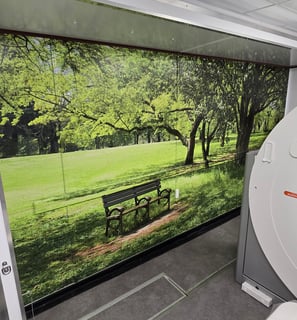 Wall Wrap for Akumin Imaging of a park bench and a trail in a sunny forest