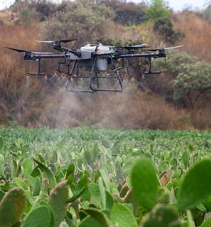 monitoreo de cultivo con dron en agricultura