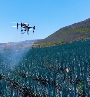 monitoreo de agave con dron