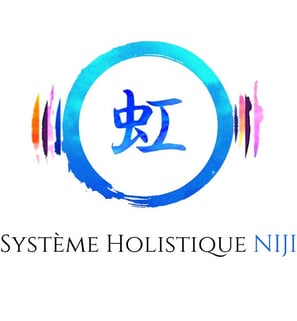 logo systeme holistique niji soins energetiques nantes christophe meunier