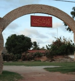 Espaços aconchegantes com madeira e tijolos para sua casa de campo.
