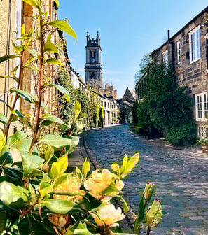 Circus Lane et ses roses jaunes