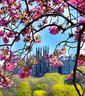 New College vue depuis Princes Street entouré de fleurs