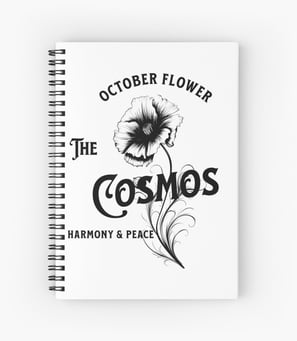 Cahier Spirale Cosmos
