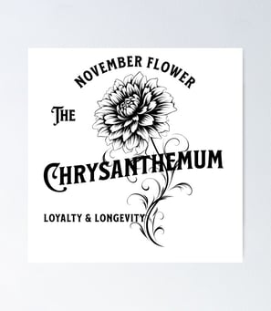Poster Chrysanthème
