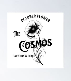Poster Cosmos